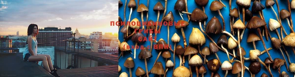 мефедрон Белокуриха