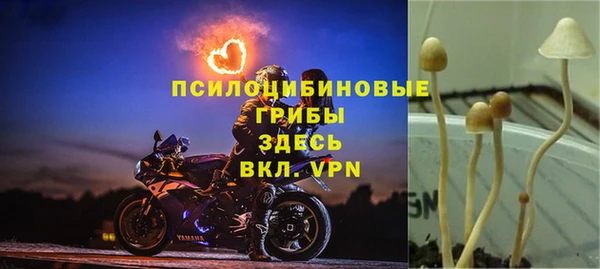 трава Богородицк