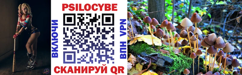 кракен ТОР Гусев Галлюциногенные грибы MAGIC MUSHROOMS