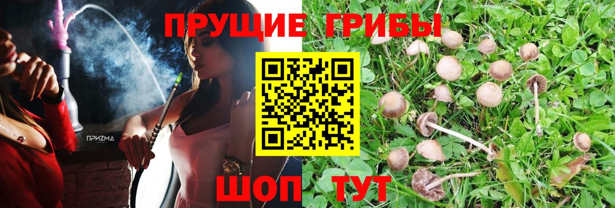 Галлюциногенные грибы мицелий  Вход с VPN  Галлюциногенные грибы мухоморы  Гусев 