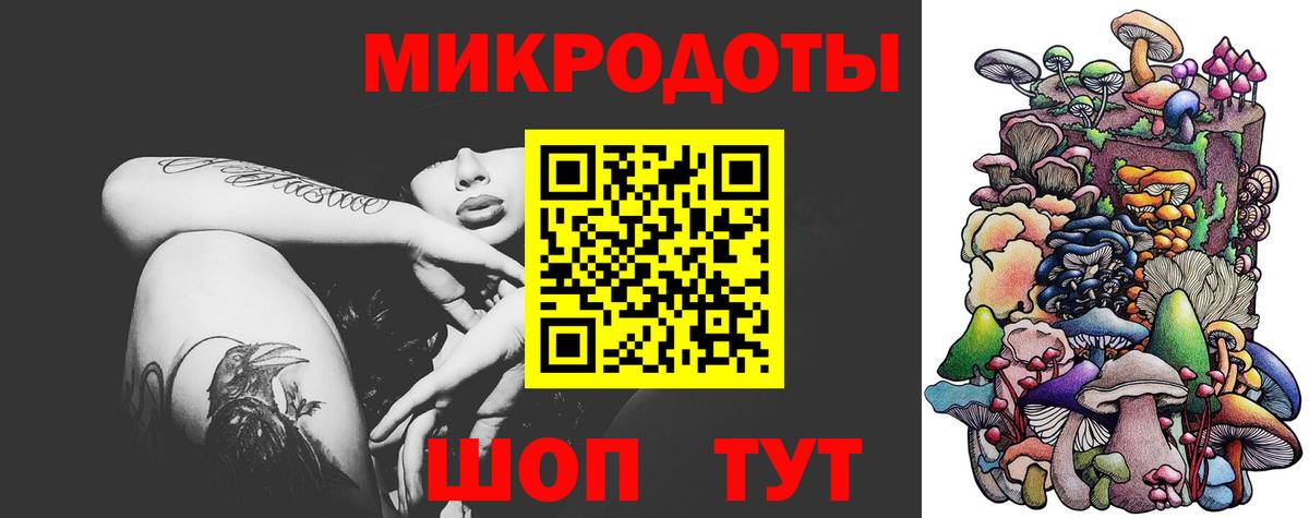 Псилоцибиновые грибы Гусев